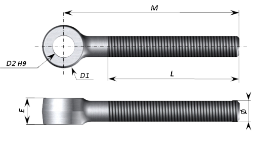 Schéma Chape mâle (Vis à oeil) (Boulon à oeil) DIN 444 Grade B Acier inoxydable